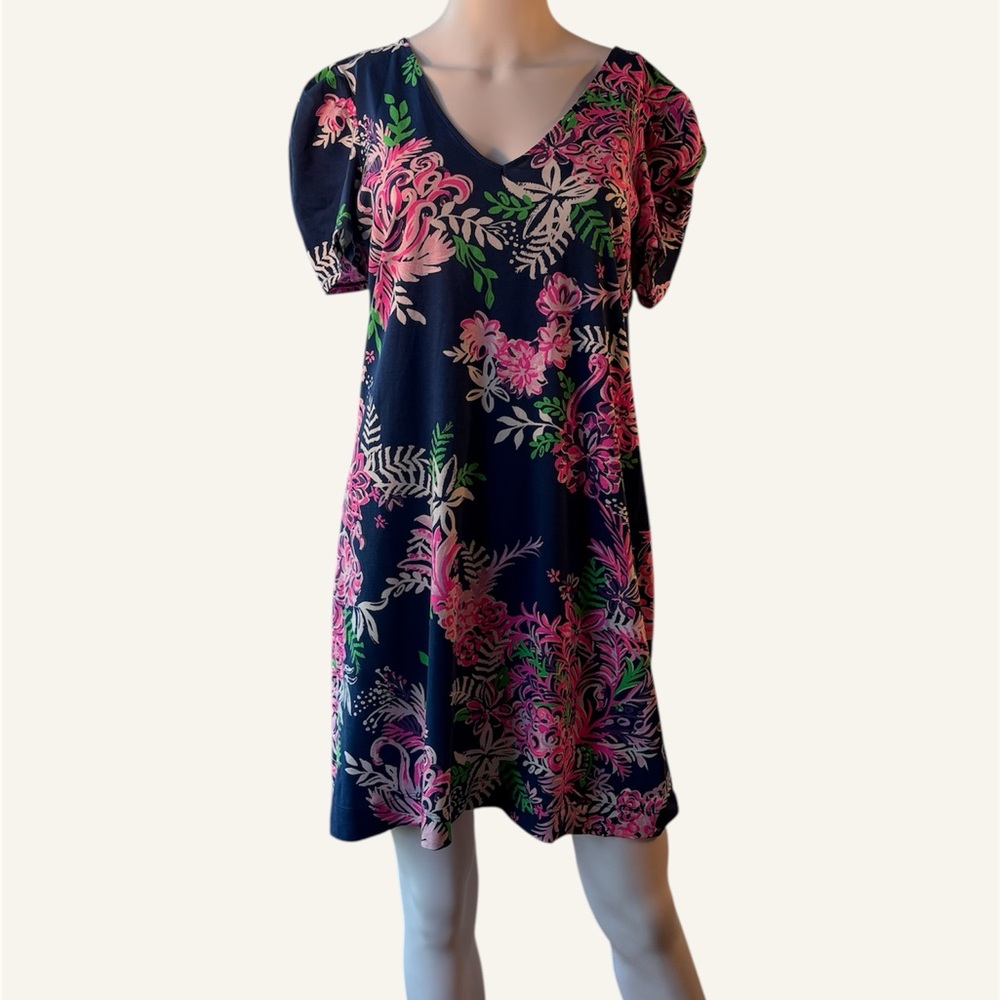 Lilly Pulitzer Aleece Dress Size Large EUC